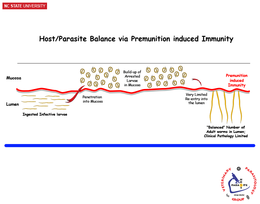 Presence of Premunition