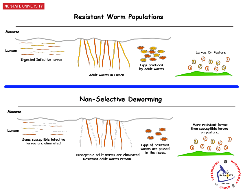 Development of Resistance