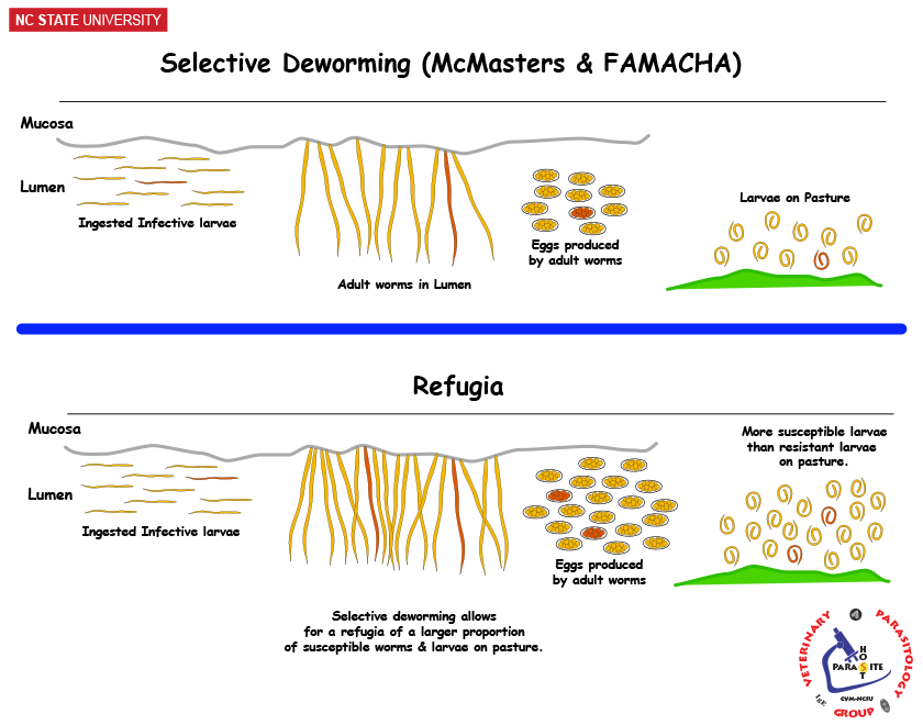 Creation of a Refugia