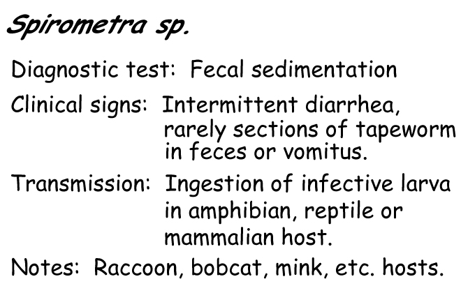 Spirometra information