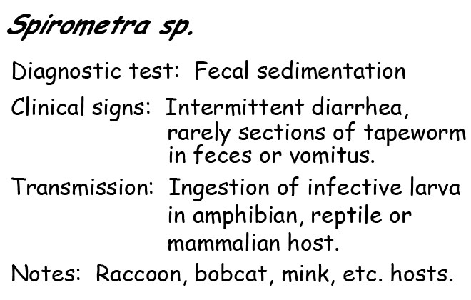 Spirometra information