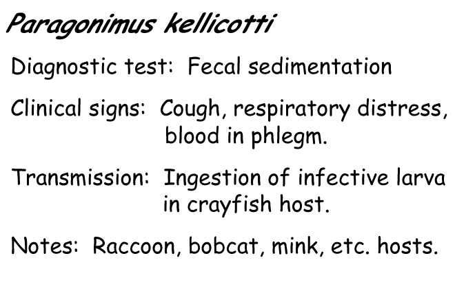 Paragonimus information